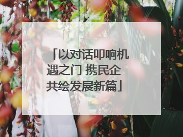 以对话叩响机遇之门 携民企共绘发展新篇