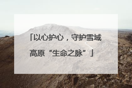 以心护心，守护雪域高原“生命之脉”