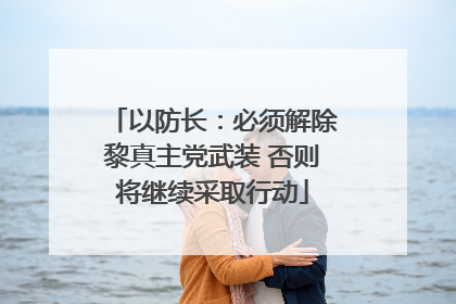 以防长：必须解除黎真主党武装 否则将继续采取行动