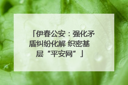 伊春公安：强化矛盾纠纷化解 织密基层“平安网”