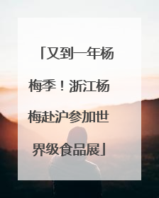 又到一年杨梅季！浙江杨梅赴沪参加世界级食品展