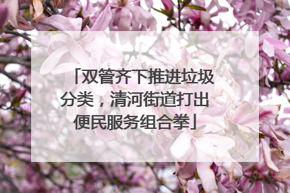 双管齐下推进垃圾分类，清河街道打出便民服务组合拳