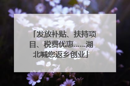 发放补贴、扶持项目、税费优惠……湖北喊您返乡创业