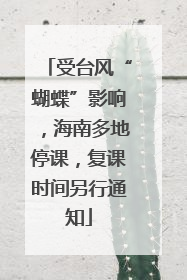 受台风“蝴蝶”影响，海南多地停课，复课时间另行通知