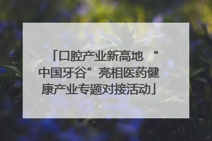 口腔产业新高地 “中国牙谷”亮相医药健康产业专题对接活动