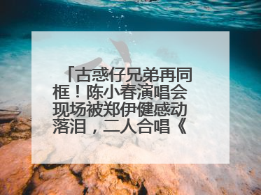 古惑仔兄弟再同框！陈小春演唱会现场被郑伊健感动落泪，二人合唱《一起冲一起闯》再现青春回忆