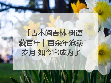 古木阅吉林 树语藏百年｜百余年沧桑岁月 如今它成为了“镇园之宝”