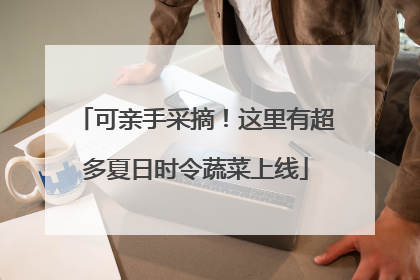 可亲手采摘！这里有超多夏日时令蔬菜上线