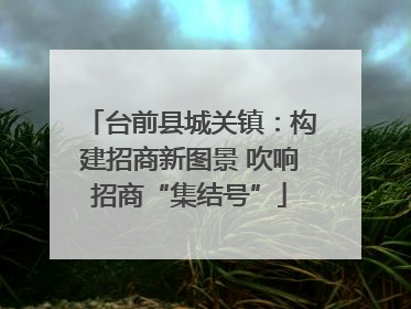 台前县城关镇：构建招商新图景 吹响招商“集结号”