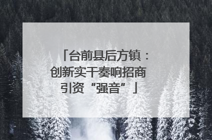 台前县后方镇：创新实干奏响招商引资“强音”