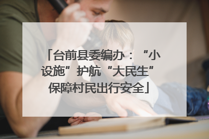 台前县委编办：“小设施”护航“大民生” 保障村民出行安全
