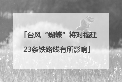 台风“蝴蝶”将对福建23条铁路线有所影响
