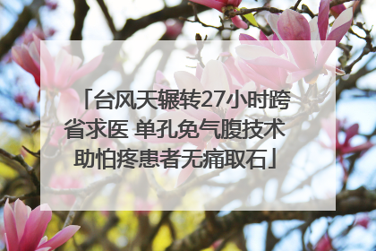 台风天辗转27小时跨省求医 单孔免气腹技术助怕疼患者无痛取石