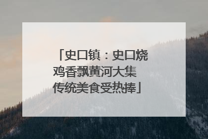 史口镇：史口烧鸡香飘黄河大集 传统美食受热捧