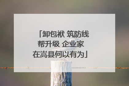 卸包袱 筑防线 帮升级 企业家在嵩县何以有为