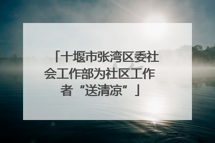 十堰市张湾区委社会工作部为社区工作者“送清凉”