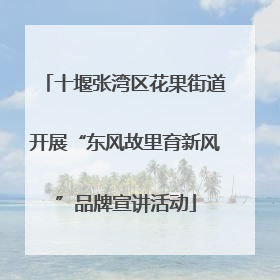 十堰张湾区花果街道开展“东风故里育新风”品牌宣讲活动