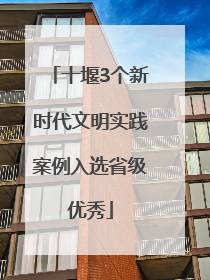 十堰3个新时代文明实践案例入选省级优秀