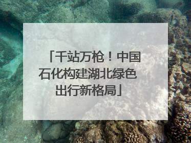 千站万枪！中国石化构建湖北绿色出行新格局
