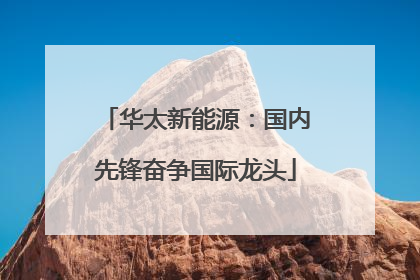 华太新能源：国内先锋奋争国际龙头