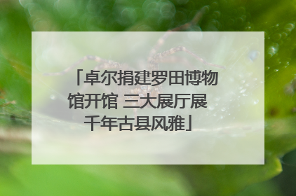 卓尔捐建罗田博物馆开馆 三大展厅展千年古县风雅