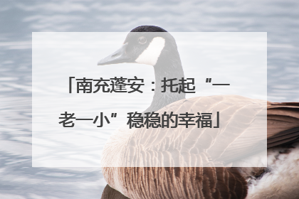 南充蓬安：托起“一老一小”稳稳的幸福