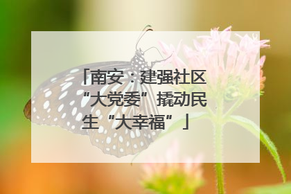 南安：建强社区“大党委”撬动民生“大幸福”