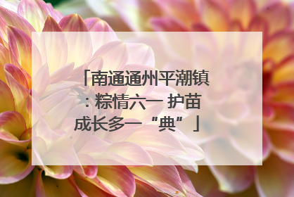 南通通州平潮镇：粽情六一 护苗成长多一“典”