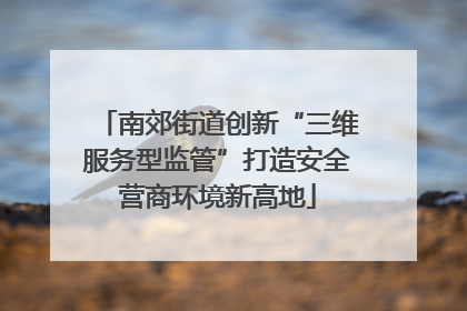 南郊街道创新“三维服务型监管”打造安全营商环境新高地