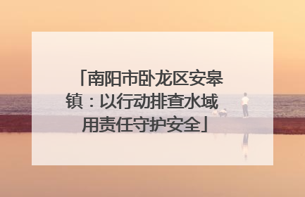 南阳市卧龙区安皋镇：以行动排查水域 用责任守护安全