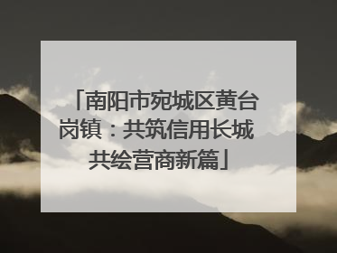 南阳市宛城区黄台岗镇：共筑信用长城 共绘营商新篇