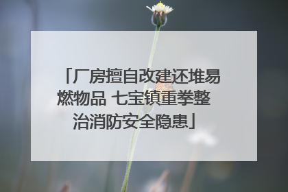 厂房擅自改建还堆易燃物品 七宝镇重拳整治消防安全隐患