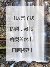 厉害了我的梨，河北鲜梨首次出口阿根廷