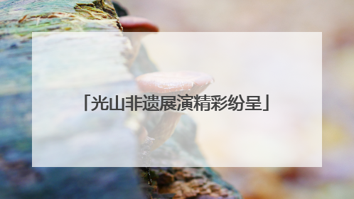 光山非遗展演精彩纷呈