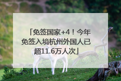 免签国家+4！今年免签入境杭州外国人已超11.6万人次