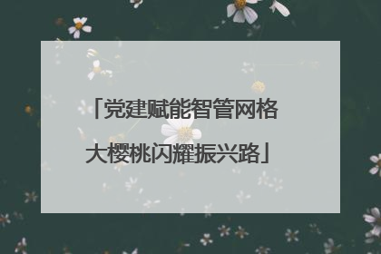 党建赋能智管网格 大樱桃闪耀振兴路