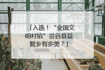 入选！“全国文明村镇”景谷县益智乡有多美？