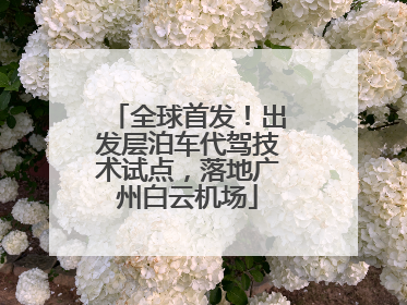 全球首发！出发层泊车代驾技术试点，落地广州白云机场