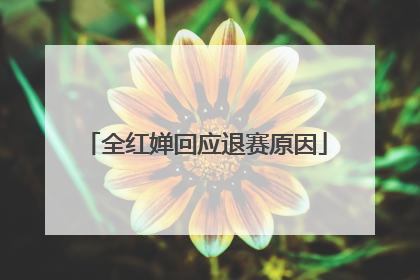 全红婵回应退赛原因