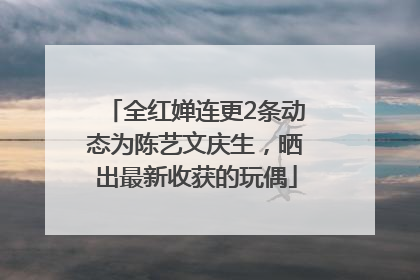 全红婵连更2条动态为陈艺文庆生，晒出最新收获的玩偶