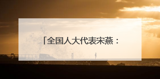 全国人大代表宋燕：构建推进长三角检察一体化学习研究机制