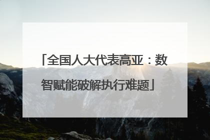 全国人大代表高亚：数智赋能破解执行难题