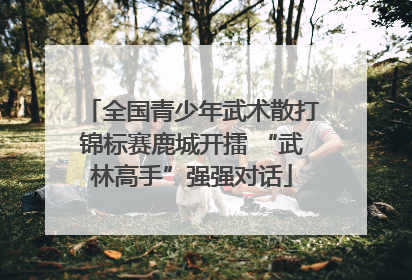 全国青少年武术散打锦标赛鹿城开擂 “武林高手”强强对话
