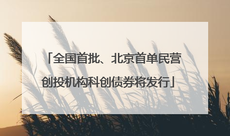 全国首批、北京首单民营创投机构科创债券将发行