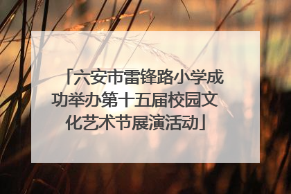 六安市雷锋路小学成功举办第十五届校园文化艺术节展演活动