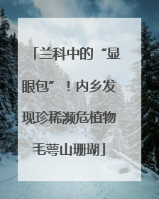 兰科中的“显眼包”！内乡发现珍稀濒危植物毛萼山珊瑚