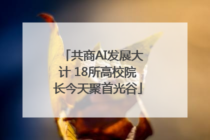 共商AI发展大计 18所高校院长今天聚首光谷