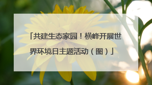 共建生态家园!横峰开展世界环境日主题活动(图)