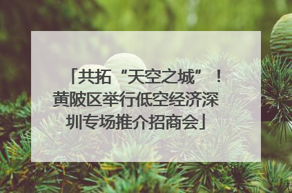 共拓“天空之城”！黄陂区举行低空经济深圳专场推介招商会