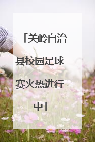 关岭自治县校园足球赛火热进行中